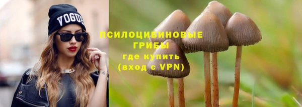 apvp Михайлов