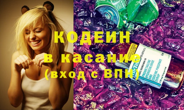 шишки Михайловск