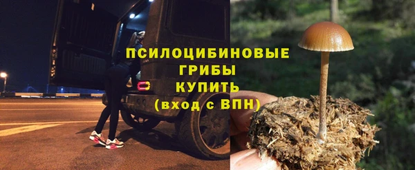 шишки Михайловск